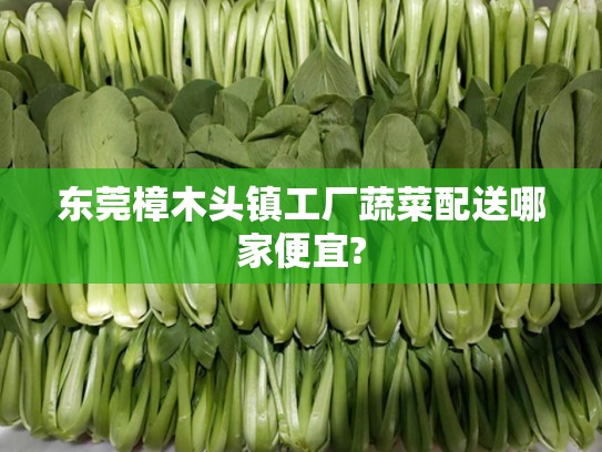 樟木头镇工厂蔬菜配送，哪家更便宜又新鲜？